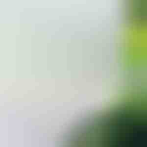 Самозалепващо се фолио за прозорци за защита от гледки | WINDOWFILM