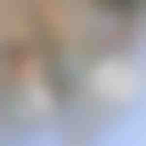 Лента за ремонт на мрежи против комари | INSECTAPE