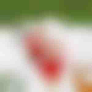 Катерещ се Дядо Коледа SANTACLIMB