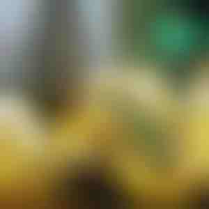 Светеща Коледна Панделка (500 см) | SHINESTRAP 1+1 БЕЗПЛАТНО