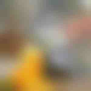 Ръчна сокоизстисквачка за плодове | JUVOPRESS