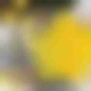 Формички за бисквитки с форма на звезди (6 бр.) | STARCUTS