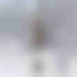 Вятърна камбанка | BELLSERA