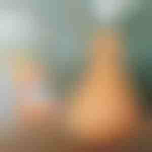 Дървен овлажнител | HUMISTER