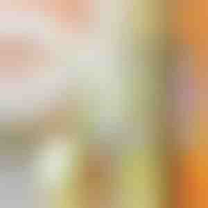 Многофункционален резач и нарязвач за зеленчуци | SLICEWISE