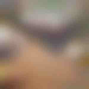 Сгъваема Преносима Скара за Барбекю | GRILLOMATE