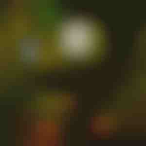 Слънчеви лампи за пътеки (6 бр.) | LUMITRAD