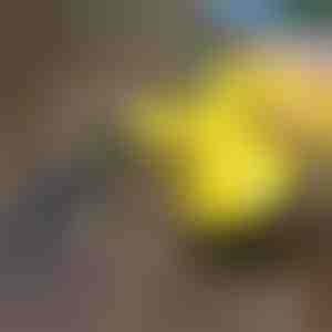 Парочистачка за дезинфекция | VAPERO