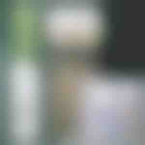 Дозатор за Паста за Зъби & Държач за Четки | BRUSHBASE