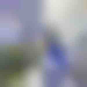 Приставка за почистване под високо налягане | WATERJET