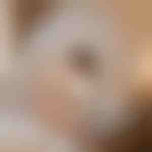 Палатка за сън против комари, която ви предпазва | BUGISTOP