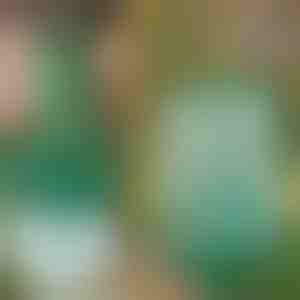 Многократна висяща мухоловка за градина, тераса и балкон | INSECTA