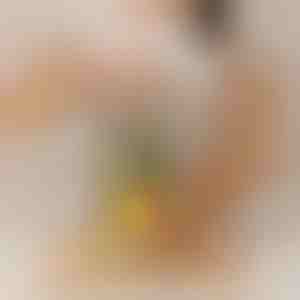 Резачка за ананаси, която работи без усилие | PINECUT