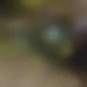 Сгъваема количка | TROLLYFOLD