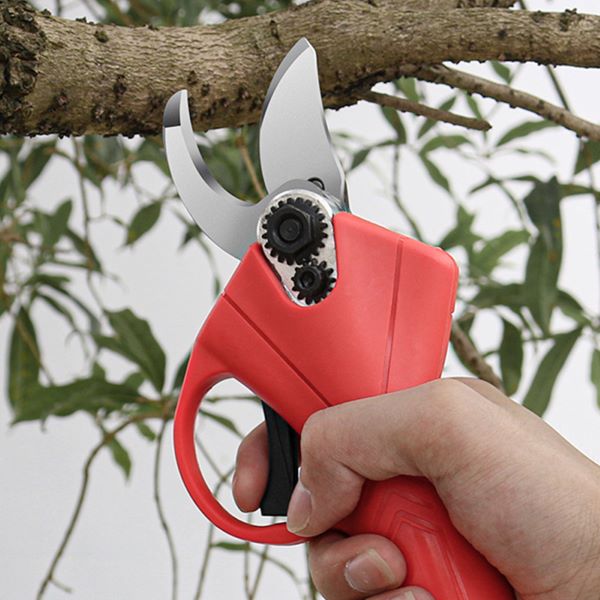 WHIZZPRUNER4