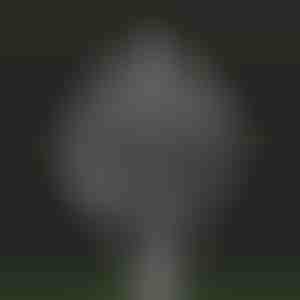 Градинска магическа кинетична вятърна въртележка| WINDARA