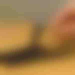 Комплект от 10 броя екстрактори за болтове | SCREWX