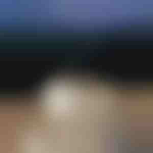 Успокояващ ароматен дифузер | MEDUSAMIST