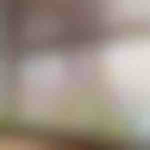 Ярък флорален стикер за прозорец | FLORASTIK