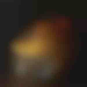 Фонтан за хидратация за домашни любимци | PETSPRINGLE