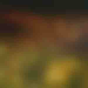 Градински соларни лампи (топла светлина) | SOMPEX